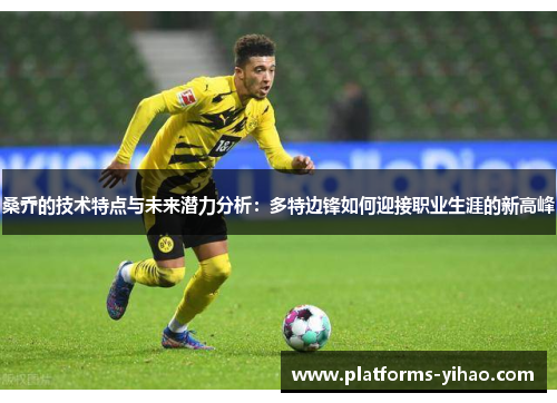桑乔的技术特点与未来潜力分析：多特边锋如何迎接职业生涯的新高峰